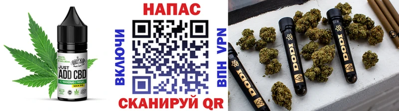 Еда ТГК марихуана  цены наркотик  МЕГА ссылка  Новотитаровская 