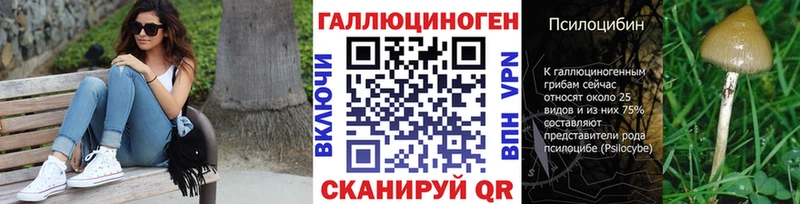 Псилоцибиновые грибы ЛСД  Новотитаровская 